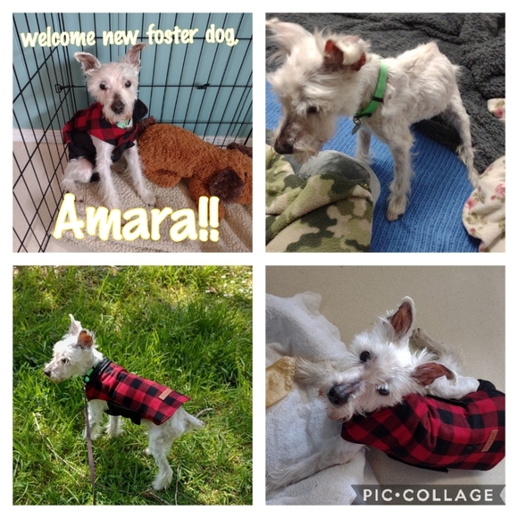 Meet your posher ๐คโคโบ๐ฏ๐๐๐ - Picture 7 of 16